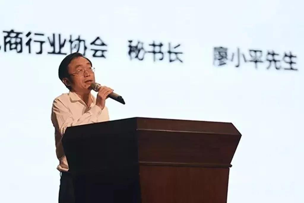 广州市跨境电商行业协会秘书长廖小平先生白云讲座 